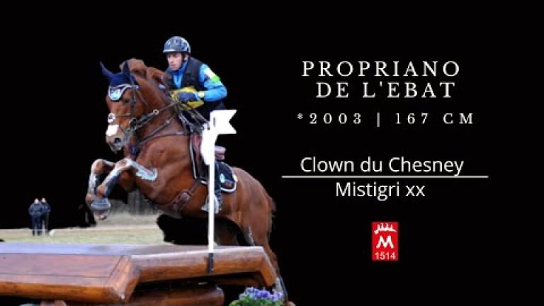 PROPRIANO DE L'EBAT *2003 v. Clown du Chesnay - Mistigri xx