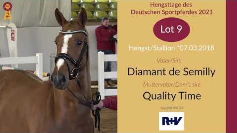 Lot 9: Hengst v. Diamant de Semilly x Quality Time
