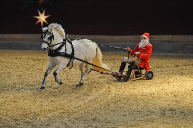 Ein Pferd vor Weihnachtsschlitten mit Weihnachtsmann